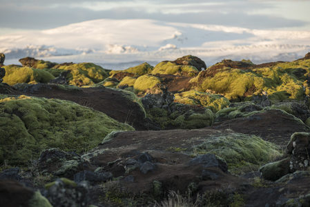 远处雪山映衬下苔藓岩层如绿毯铺展