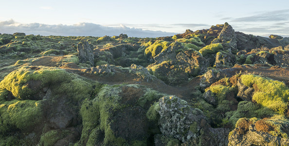 阳光穿透云层照亮苔藓覆盖的岩丘