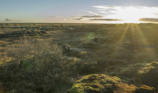 夕阳穿透苔原洒向火山岩地