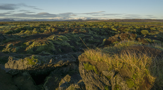苔藓覆盖的火山岩地貌，远山如黛