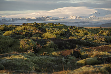 冰岛苔原风光，雪峰映衬绿绒毯