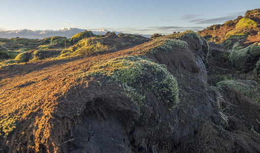 火山岩剖面，苔藓与土壤的层次美