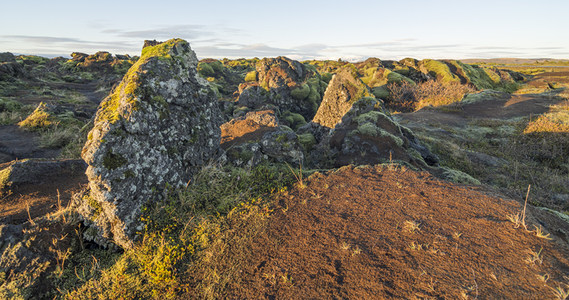 奇形怪状的苔藓石柱矗立于旷野之中