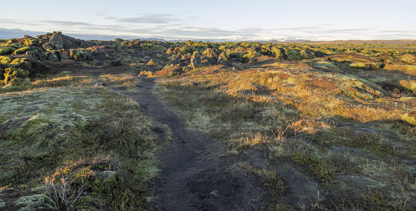 苔藓覆盖的火山岩地貌小径