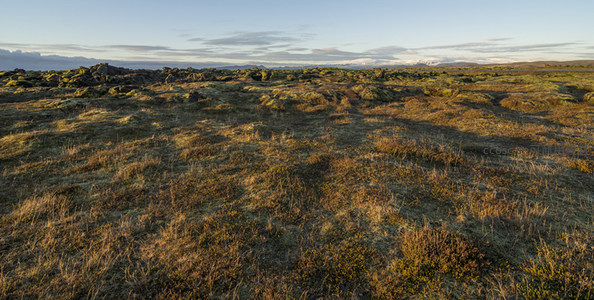 夕阳下的苔原广阔视野