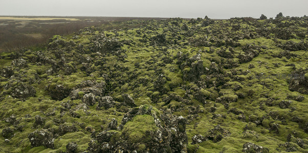 航拍视角下的苔藓熔岩平原
