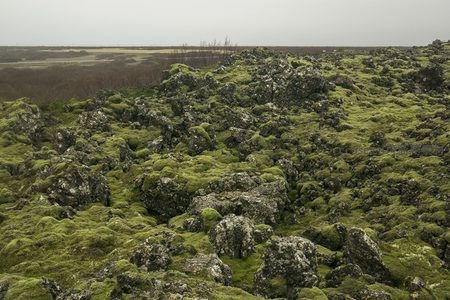 广袤苔原与远山相望