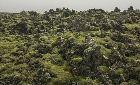 崎岖苔藓山丘特写