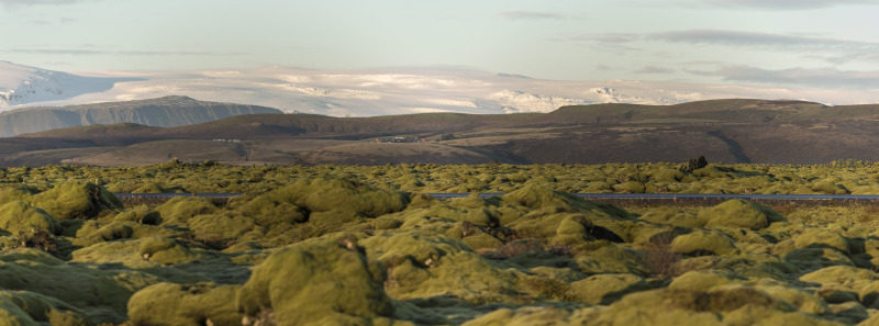苔藓平原与雪山远景