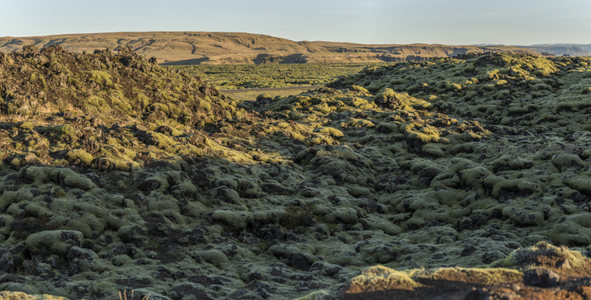 苔藓覆盖的火山岩地貌，自然奇观
