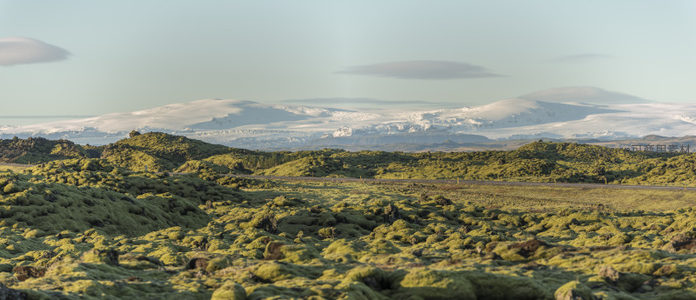 绿意盎然的火山地貌全景