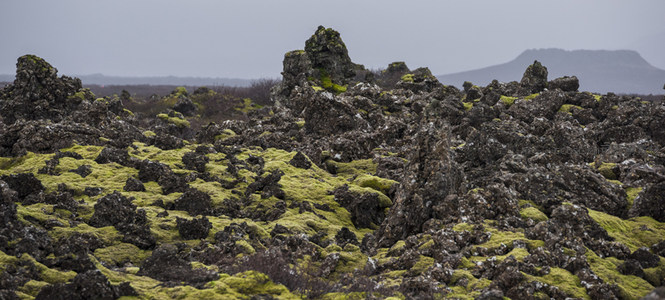 苔藓岩柱矗立，荒野中静默守望