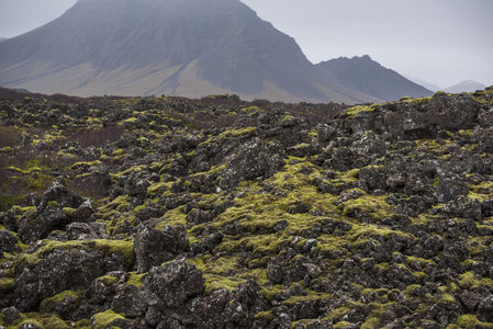 苔藓覆盖的火山岩地貌，远山朦胧