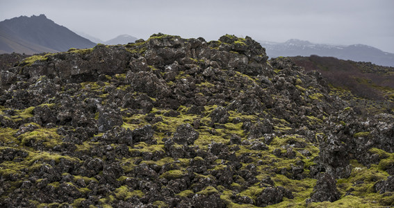崎岖熔岩原野，绿意点缀苍凉