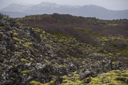 远眺雪山下的苔藓熔岩坡地