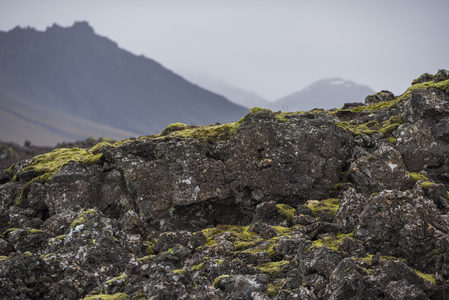 近景火山岩特写，苔藓点缀山峦背景