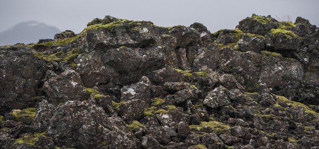 青苔铺满嶙峋火山岩，展现大地肌理