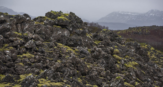 火山熔岩地貌，苔藓生机与雪山远景