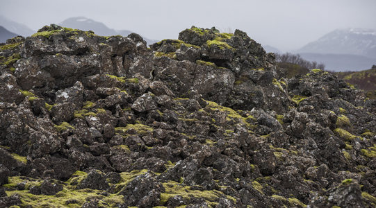 苔藓与火山石交织的原始地貌全景