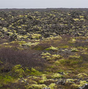 广袤苔原上的火山熔岩平原