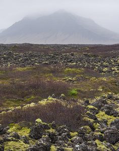 雾中远山下的苔藓熔岩景观