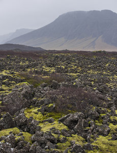 山峦环抱中的苔藓火山岩带