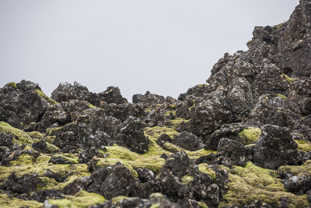 灰空下的黑色熔岩与青苔