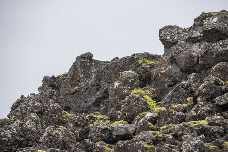 崎岖火山岩上的苔藓点缀