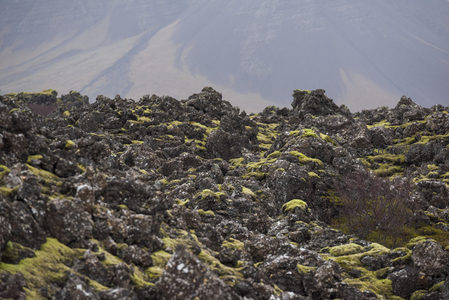 苔藓覆盖的火山岩地貌