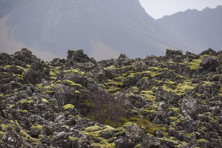 荒原上布满青苔的熔岩地