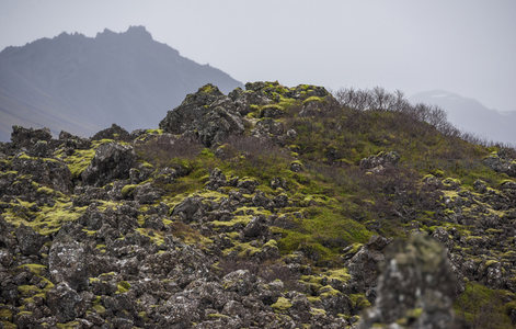 山丘上的苔藓与火山岩共生