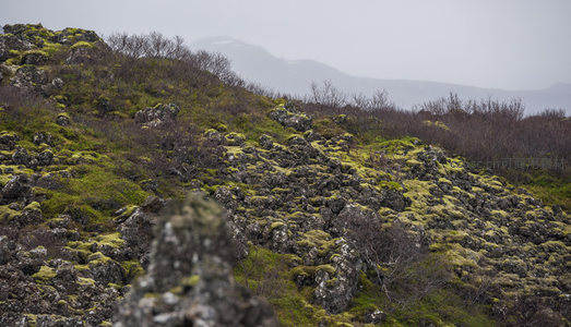 苔藓蔓延的火山岩坡地