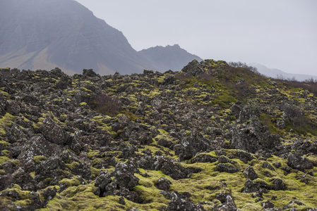 苔藓覆盖的火山岩地貌