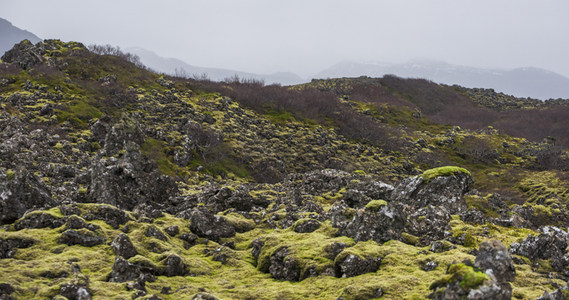 青苔点缀的崎岖山丘