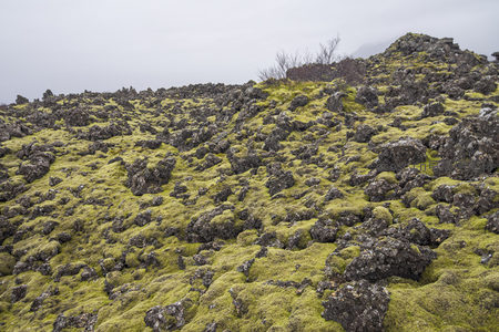 苔藓地毯般的火山地貌