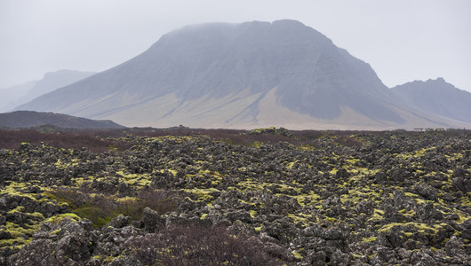 远山背景下的苔藓熔岩平原