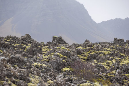 山峦映衬下的苔藓火山岩群