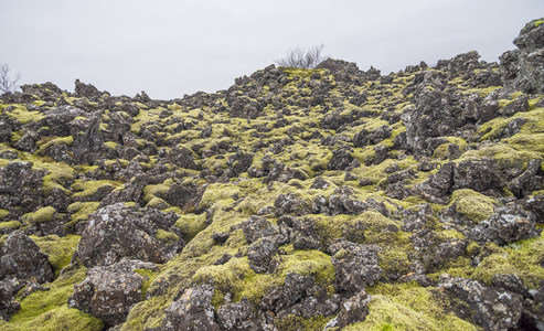 苔藓覆盖的火山岩地貌