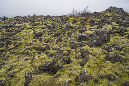 青苔点缀的玄武岩山坡