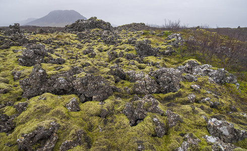 雾霭中的苔藓火山平原
