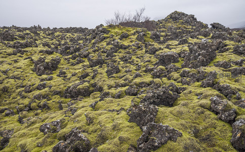 起伏的苔原火山岩坡