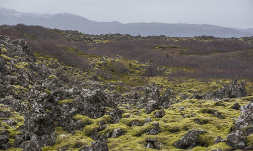 远山下的苔藓熔岩平原
