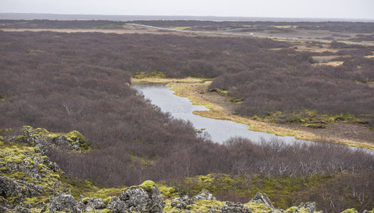 蜿蜒河流穿行荒原