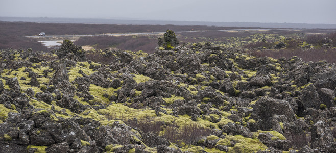 辽阔苔原上的火山地貌