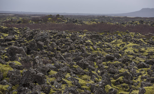 苔藓地毯般的熔岩平原