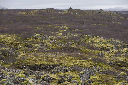 苔藓覆盖的火山岩地貌全景