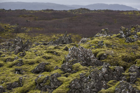 青苔点缀的黑色熔岩特写