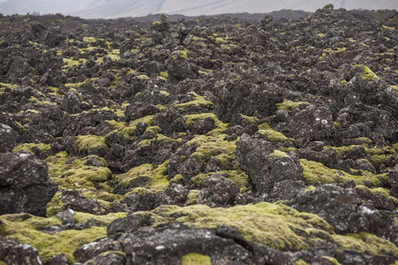 无垠的苔藓熔岩平原延展至天际