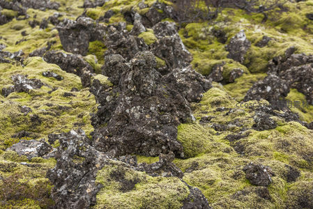 苔藓丛生的火山地貌奇观