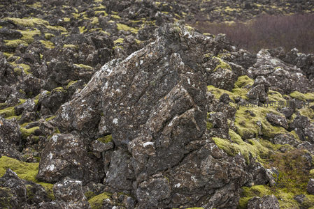 孤峰状火山岩与苔藓共生